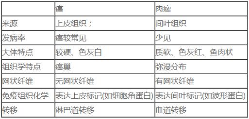 2019年临床执业医师考试病理学考点解析(第四节)